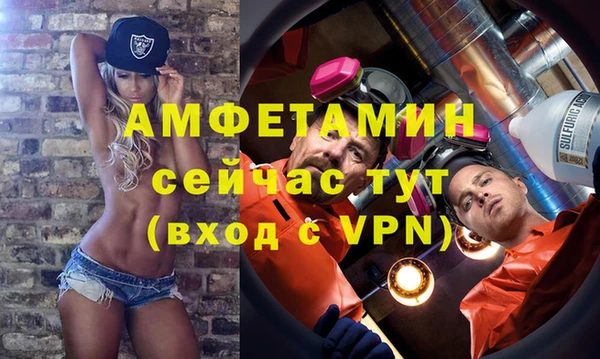 стаф Богданович