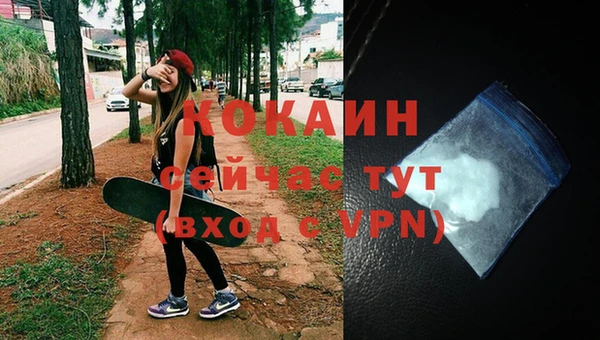 трава Новодвинск