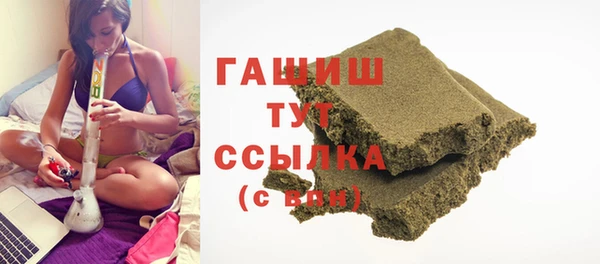 мдпв Новозыбков