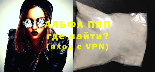 стаф Богданович
