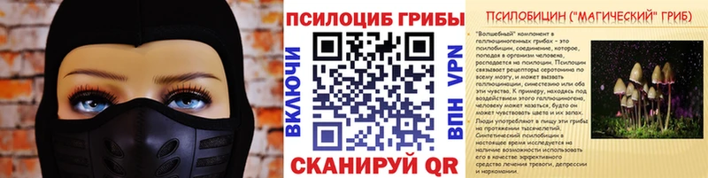купить наркотик  mega как войти  Псилоцибиновые грибы MAGIC MUSHROOMS  Копейск 